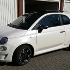 Edelweiß